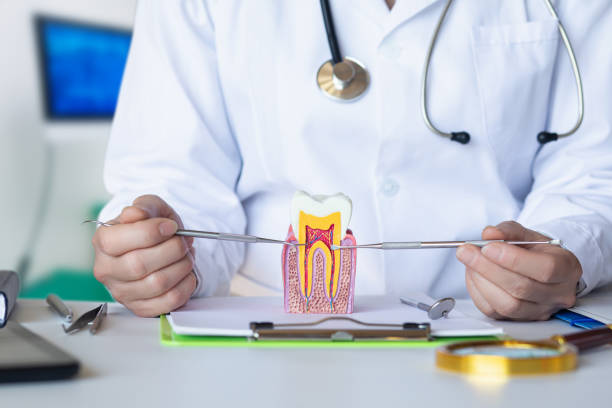 Best Emergency Dentist for Lost Fillings or Crowns in Ann Arbor, MI